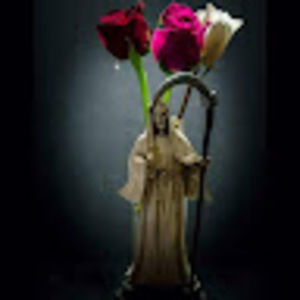 Meet your Posher, Carol